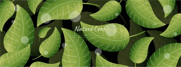 Blätter Backboden Design Vektor Für Ökologie Set Bündel Natur Leavesi — Stockvektor
