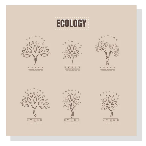 Natura Ekologia Roślin Rysunek Ikona Logo Projekt Marki Dla Przyrody — Wektor stockowy