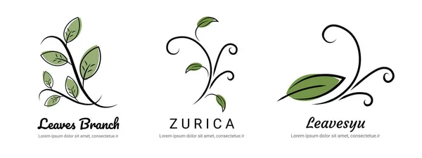 Natur Växt Logotyp Som För Ekologi Varumärke — Stock vektor
