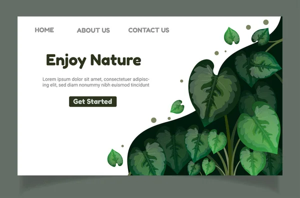Plantes Feuillage Naturel Pour Ensemble Conception Fond Page Destination Faisceau — Image vectorielle
