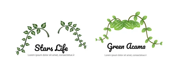 Natur Växt Logotyp Som För Ekologi Varumärke — Stock vektor