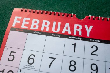 Calendar 2023, February, monthly planner. Day, month, year, date and activity organiser wall and desk planner. Red and white calendar with large letters and numbers on green background. Close up.