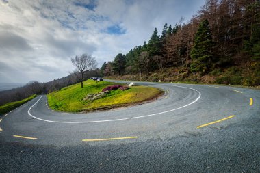 Hair pin bend on steep mountain country road surrounded by forest trees on a bright cloudy day in Ireland. Winding, twisty road allows travellers to drive across steep mountainous range.