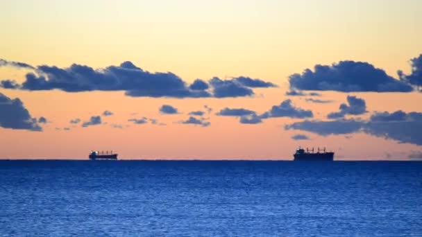 Paysage Marin Contrasté Matin Citernes Transport Grain Loin Dans Mer — Video