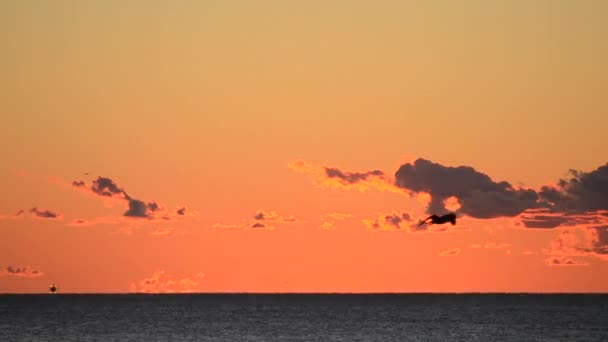 夜明けの日の出は海の上で夜明け 太陽の円は 急速に移動する雲と黄色のオレンジ色の赤い空の海の上の地平線の上に上昇します 空の海の風景 シースケープ タイムラプスだ 速く動く雲 — ストック動画