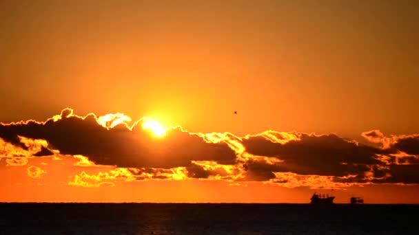 タイムラプスだ 夜明けの太陽は 夜明けに海の地平線の上に雲を得る 太陽光線を照射する 夜明けの日の出の海で夜明け スカイライン上の穀物キャリアタンカー船の2つの黒いシルエット 空の海の風景 — ストック動画