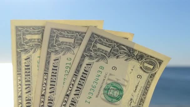 Orang Memegang Tangan Tagihan Kertas Dolar Dengan Nilai Wajah Dari — Stok Video