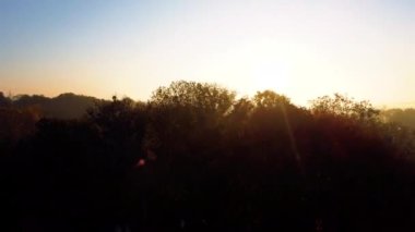 Hava aracı manzarası. Orman parkı ağaçları, nehir ve yazın şafak vakti şehirde birçok yüksek binalar. Parlak güneş, bulutsuz gökyüzü, sabah sisi, gölgeler. Yükseliyor