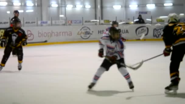 Bila Tserkva Ukraine January 2021 Teams Hockey Players Playing Hockey — Stock Video