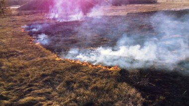 Aerial Drone View Over Burning Dry Grass and Smoke in Field. Flame and Open Fire. Top View Black Ash from Scorched Grass, Rising White Smoke and Yellow Dried Grass. Ecological Catastrophy, Environment clipart