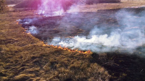 Вид Воздуха Беспилотник Над Сжиганием Сухой Травы Дыма Поле Пламя — стоковое фото