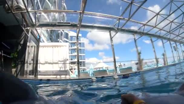 ウクライナのオデッサ2022年9月25日 イルカと泳いでいる少女 Pov プールのクローズアップでのイルカの水泳の腹の上の女性 フリッパー イルカの腹のフィン イルカ療法 — ストック動画