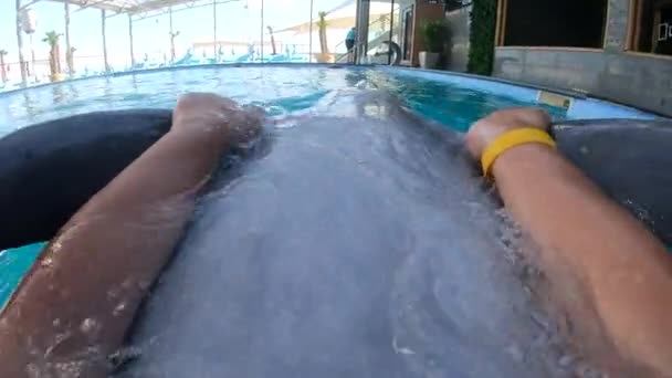 Menina Nadando Com Golfinho Mãos Dadas Suas Barbatanas Vpo Uma — Vídeo de Stock