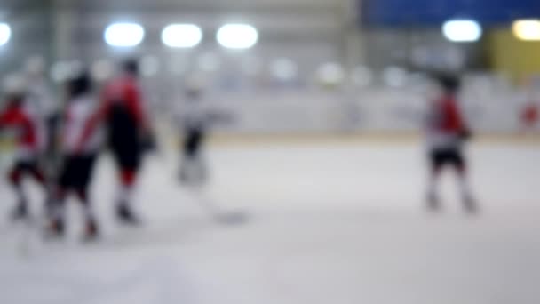 Professional Athletes Player Play Hockey Ice Stadium Hockey Game Sportsmen — Stock Video