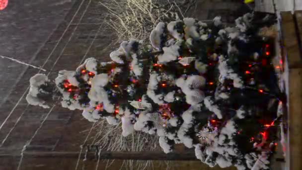 Czerwone Niebieskie Zielone Światła Świecą Pokrytej Śniegiem Choince Podczas Opadów — Wideo stockowe