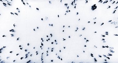 Açık havada buz pateni pistinde kayan insanlar. Üst Manzara. Buz pistinde paten yapan bir sürü insan var. Hava Aracı Görünümü. Güzel Paten Sporu ve Kış Aktiviteleri Mavi Arkaplan