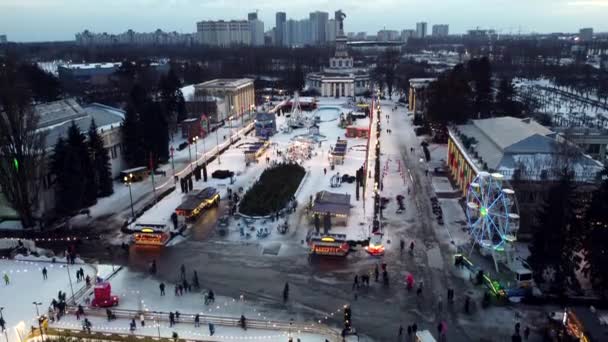 Kyiv Ukraine January 2022 Many People Walking Park Christmas Tree — Stock Video