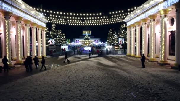Kyiv Ukraine January 2022 Beautiful View Entrance Park Columns Hanging — Stock Video