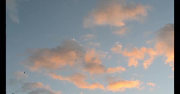 空の雲の動き タイムラプスだ 日没の夜明けの日の出の夜明けの間に青空の風景運動大規模なピンクの赤い雲 雲のように 曇った空 天気だ 自然背景 — ストック動画