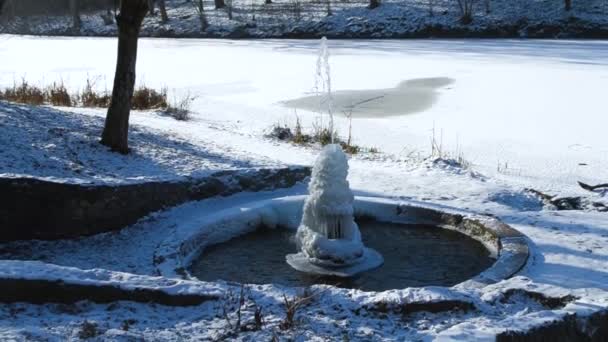 Παγωμένο Σιντριβάνι Στο Πάρκο Μια Χειμωνιάτικη Ηλιόλουστη Μέρα Πηγή Παγωμένο — Αρχείο Βίντεο