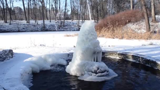 Fonte Gelada Parque Dia Ensolarado Inverno Fonte Com Água Congelada — Vídeo de Stock