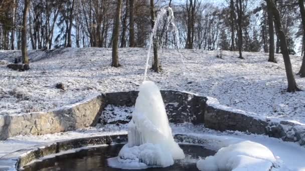 在冬日阳光明媚的日子 公园里的冷泉 有冰水的泉源 一股从在寒冷中结冰的喷泉喷出的水 公园里白天被冰雪覆盖的背景 — 图库视频影像