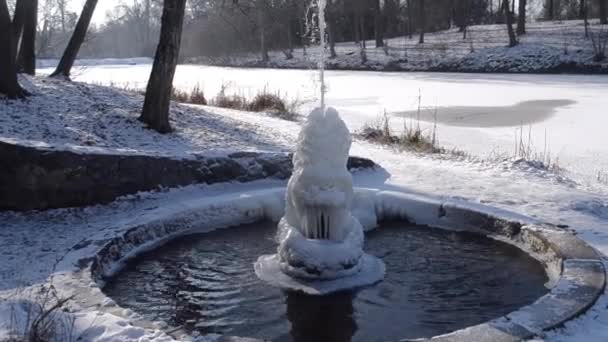 Ledová Fontána Parku Zimního Slunečného Dne Fontána Zmrzlou Vodou Proud — Stock video