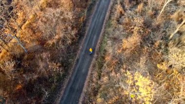 Sarı ceketli, bisikletli, ağaç tarlaları ve sonbahar günü etrafta uçan drone 'lar arasında kara yolda duran bir kadın. Gezgin. Uçan İHA görüntüsü. Seyahat, turizm, seyahat. Doğanın kırsal kesimi
