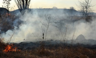 Sahada gün boyunca kuru çimenler yanıyor. Tarlada kuru ot yakmak. Ateş, ateş, duman, kül, kuru ot. Ateş tüttürüyor. Ekolojik afet, çevre, iklim değişikliği, ekoloji kirliliği