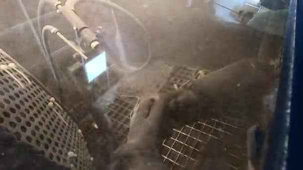 开了一枪用聚酰胺粉末在3D打印机上进行了模型爆破 一名戴着密封橡胶手套的工人在射弹爆破室内通过射弹爆破清除物体 工业机器 — 图库视频影像