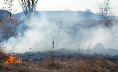 Sahada gün boyunca kuru çimenler yanıyor. Tarlada kuru ot yakmak. Ateş, ateş, duman, kül, kuru ot. Ateş tüttürüyor. Ekolojik afet, çevre, iklim değişikliği, ekoloji kirliliği