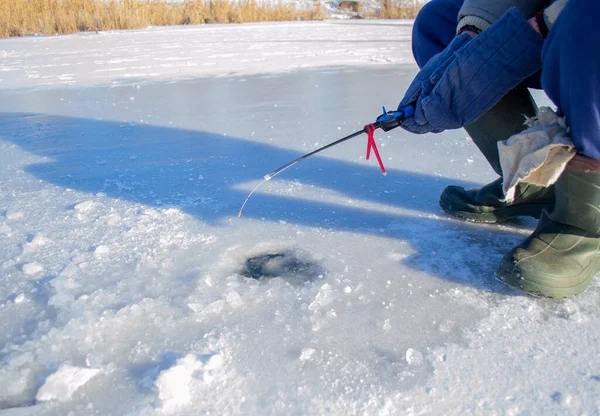 Premium Photo  Winter fishing fishing rod with a fishing line near the ice  hole ice with snow