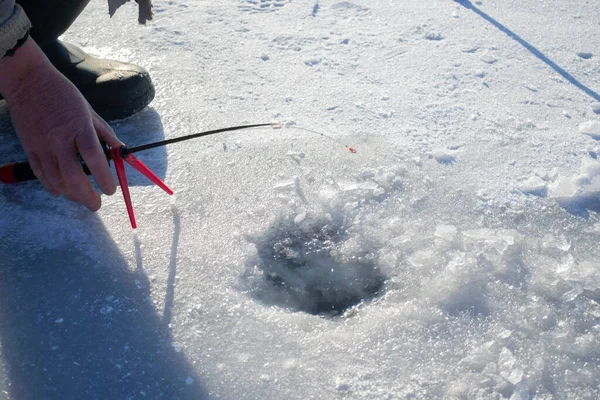 Winter ice fishing. Fisherman sitting near ice-hole and holding small fishing rod in hands. Ice fishing in winter. Small fishing rod stands near hole in the ice of river on sunny day. Winter activity