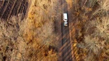 White car with trailer driving along dirt country road between trees without leaves on autumn sunny day. Rural countryside landscape, country scenery. Aerial drone view. Travel vehicle tourism