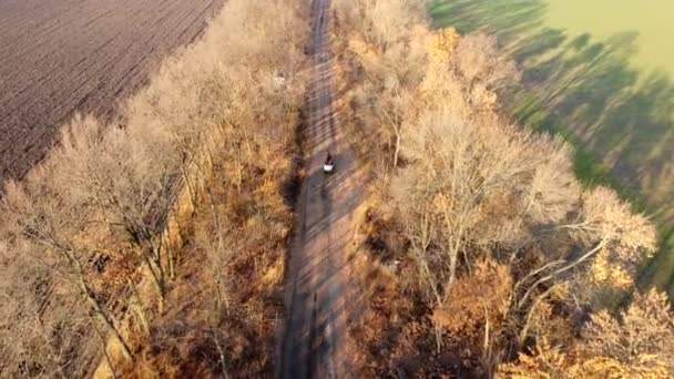 People Riding Cart Carriage Sacks Horses Driving Dirt Country Road — Video Stock