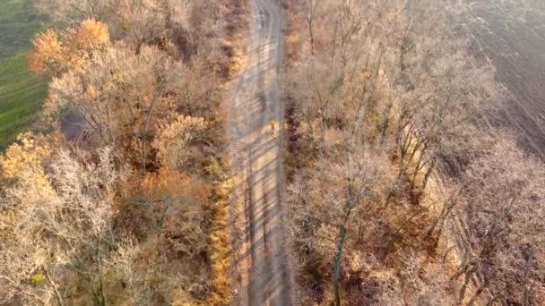 Person Orange Jacket Standing Bicycle Dirt Country Road Trees Leaves — Vídeo de Stock