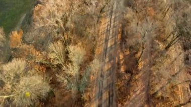Empty dirt country road between trees without leaves between agricultural fields on autumn sunny day. Trees cast long shadows. Rural countryside landscape, country scenery.