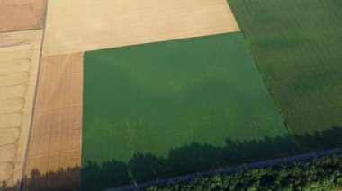 Agricultural fields. Yellow and green agricultural fields with ripe wheat and other different agricultural crops. Aerial drone view. Harvesting agrarian land. Growing cultivation agricultural crops.