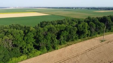 Agricultural fields. Yellow and green agricultural fields with ripe wheat and other different agricultural crops. Aerial drone view. Harvesting agrarian land. Growing cultivation agricultural crops.