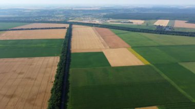 Agricultural fields. Yellow and green agricultural fields with ripe wheat and other different agricultural crops. Aerial drone view. Harvesting agrarian land. Growing cultivation agricultural crops.