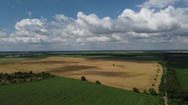 Beautiful agricultural landscape with a yellow wheat field, with green fields with agricultural plants, white clouds on a blue sky on a sunny summer day. Aerial drone view. Natural agrarian background