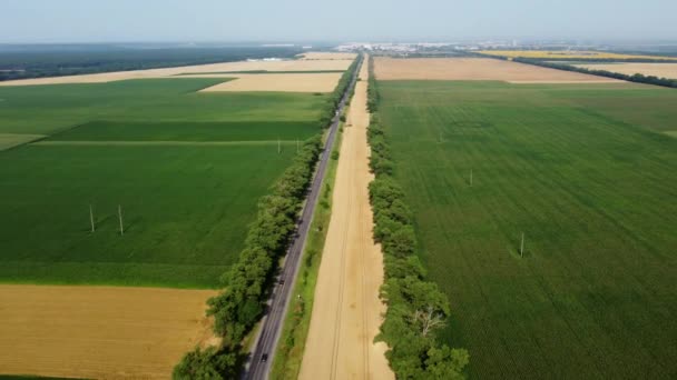 Automobile Asphalt Road Cars Driving Agricultural Fields Yellow Ripened Wheat — Vídeo de Stock