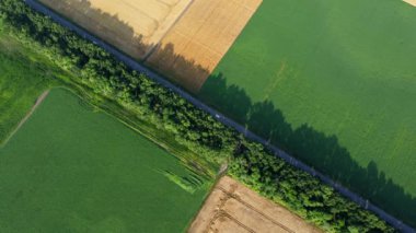 Automobile asphalt road with cars driving along it between agricultural fields with yellow ripened wheat and different green agricultural crops. Aerial drone view. Agricultural agrarian crop landscape