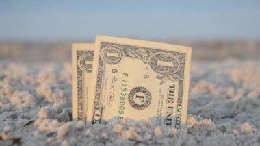 İki banknot bir dolar deniz kıyısının kumlu sahilinde yaz şafağında yakın planda. Kağıt Amerikan banknotları. Konsept finans, para, dolar, servet, nakit, seyahat, turizm, tatil