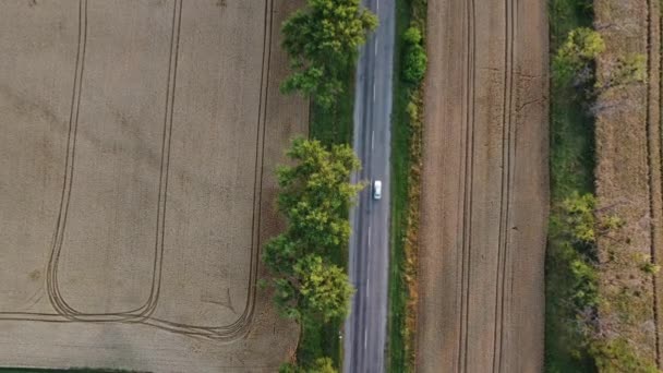 Cars Driving Road Trees Large Fields Yellow Ripened Wheat Summer — Wideo stockowe