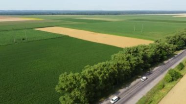 Agricultural fields. Yellow and green agricultural fields with ripe wheat and other different agricultural crops. Aerial drone view. Harvesting agrarian land. Growing cultivation agricultural crops.