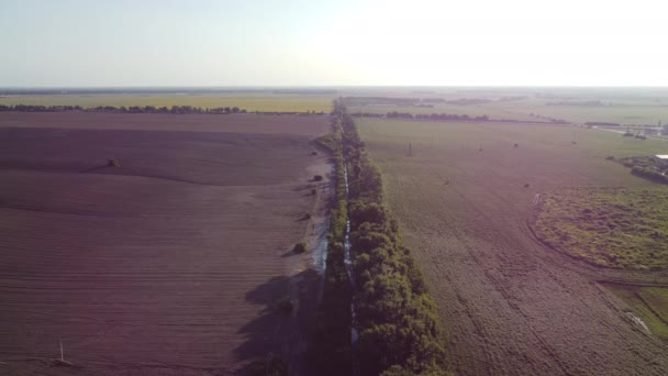 Krásná Krajina Zemědělská Půda Oraná Půda Osetá Pole Různými Zemědělskými — Stock video