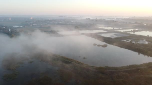 在夏日阳光明媚的清晨 湖泊是人工建造的池塘 用于在晨雾中养殖鱼类 自然景观 自然景观 顶部视图 空中无人驾驶飞机视图 — 图库视频影像