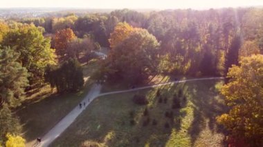 Flying over trees with yellow and green leaves in park with dirt paths and people walking on sunny autumn day. Forest wood nature sunlight sunshine. Aerial drone view. Red sun glare. Lifting up rising