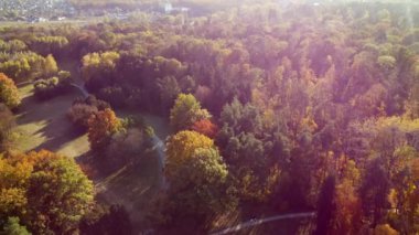 Flying over trees with yellow and green leaves in park with dirt paths on sunny autumn day. Forest wood nature sunlight sunshine. Autumnal background. Aerial drone view. Red sun glare, solar flare